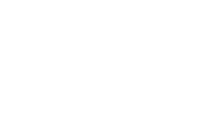 New England Sports Network logo